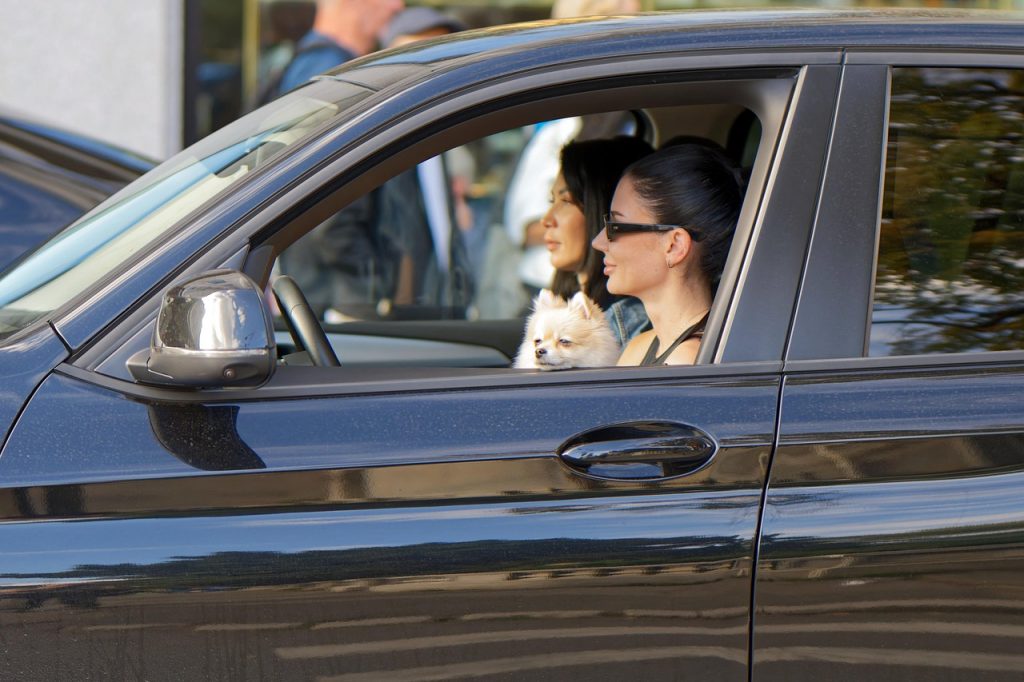 Two smiling women sit in a sleek black car with a small dog on their lap, confidently cruising—proof that vehicle registration solutions can bring peace of mind.